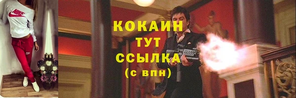 прущие крисы Абаза